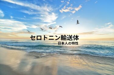 セロトニン輸送-日本人の特性